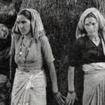 chipko movement