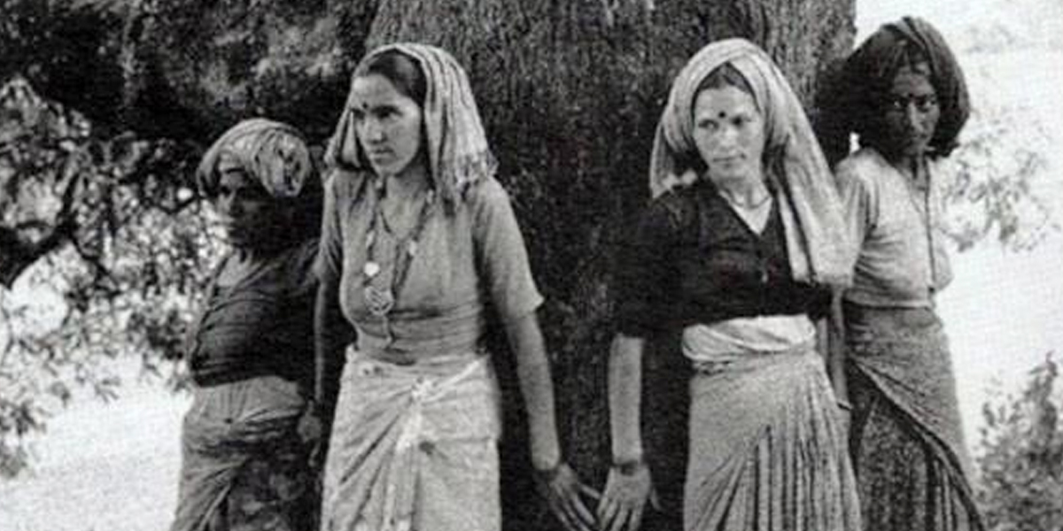 chipko movement