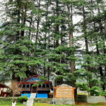 coronavirus hit the tourism in mussoorie