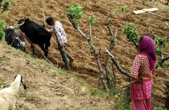 पहाड़ में खेती की तस्वीर बदलने को त्रिवेंद्र सरकार का बड़ा फैसला, ग्राम पंचायतों को भी मिलेगा ज्यादा पैसा