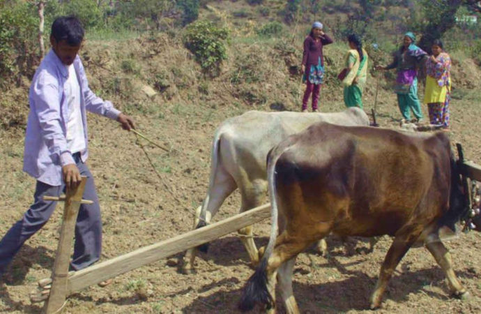 लॉकडाउन में काम छूटा, गांव में नाम पर खेत है तो सरकार देगी 6000, 30 जून तक करा लें रजिस्ट्रेशन