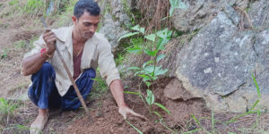 काम से हो चर्चा, नाम का क्या है: दिव्यांग पर्यावरण प्रेमी ने गांव को दी हरे-भरे जंगल की सौगात