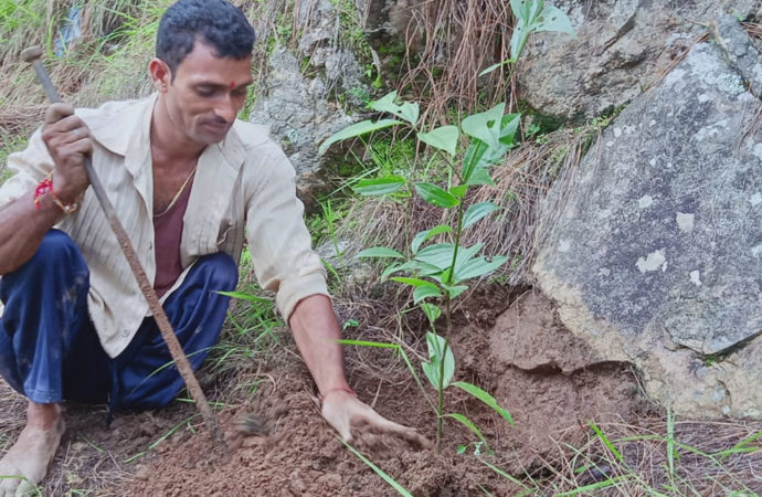 काम से हो चर्चा, नाम का क्या है: दिव्यांग पर्यावरण प्रेमी ने गांव को दी हरे-भरे जंगल की सौगात