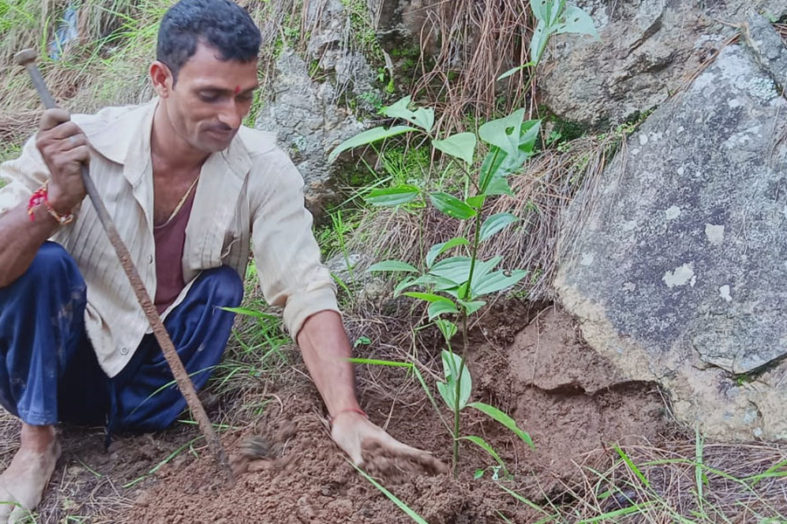 काम से हो चर्चा, नाम का क्या है: दिव्यांग पर्यावरण प्रेमी ने गांव को दी हरे-भरे जंगल की सौगात