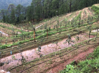 आधुनिक तकनीक का इस्तेमाल करके किसानों की आय में होगी बढ़ोतरी