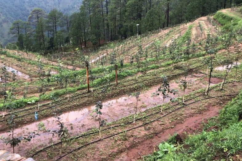 आधुनिक तकनीक का इस्तेमाल करके किसानों की आय में होगी बढ़ोतरी