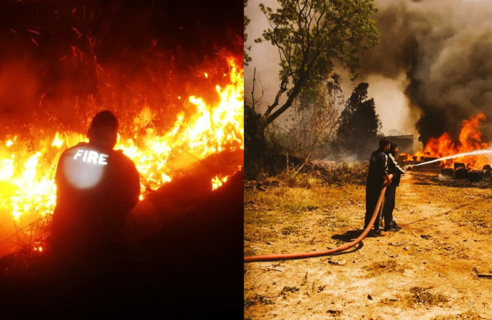 उत्तराखंड के जंगलों में विकराल हुई आग, कार्बेट पार्क पर भी संकट, गृह मंत्री अमित शाह ने NDRF की टीमें और हेलीकॉप्टर भेजे