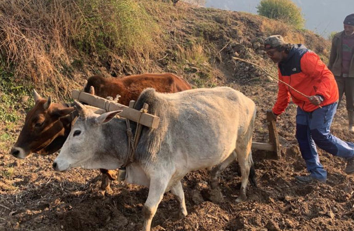 चमोली के सुदूर गांव में विलेज टूरिज्म की अनोखी पहल, शहरों से सुकून पाने आ रहे पर्यटक, देखें तस्वीरें