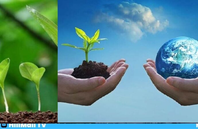 विश्व पर्यावरण दिवस – विकास और आधुनिकता की दौड़ में पर्यावरण को नुकसान नहीं पहुंचना चाहिए