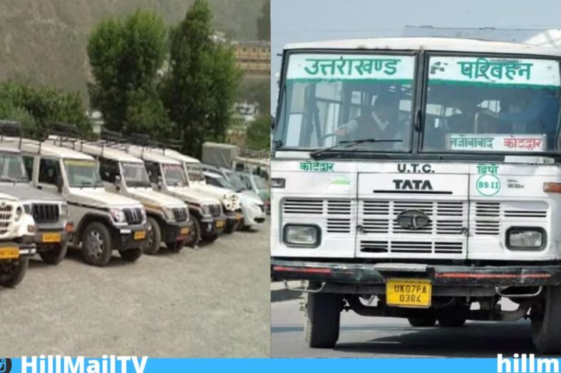 तीन माह में चार दर्जन मौतों ने खोली सड़क सुरक्षा की पोल