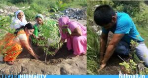 हरेला त्योहार मानव को प्रकृति के साथ सामंजस्य बैठाने की सीख देता है