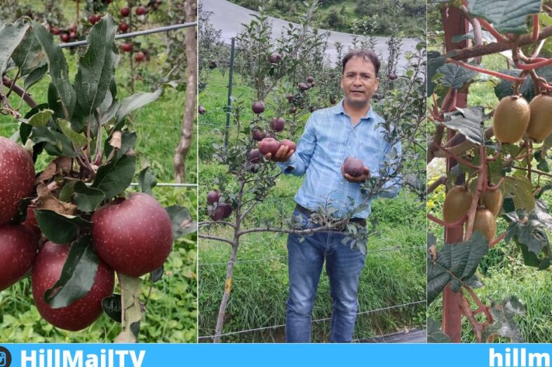 बंजर खेतों को लीज में लेकर कर रहे हैं कीवी, सेब और केसर की खेती