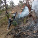 उत्तराखंड के जंगलों में हर साल लगने वाली आग को बुझाने में ग्रामीणों की अहम भूमिका रहती है, लेकिन इसके एवज में उन्हें कुछ नहीं मिलता। पहली बार धामी सरकार इस काम के लिए ग्रामीणों को प्रोत्साहन राशि देने जा रही है।