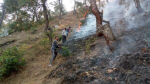 उत्तराखंड के जंगलों में हर साल लगने वाली आग को बुझाने में ग्रामीणों की अहम भूमिका रहती है, लेकिन इसके एवज में उन्हें कुछ नहीं मिलता। पहली बार धामी सरकार इस काम के लिए ग्रामीणों को प्रोत्साहन राशि देने जा रही है।