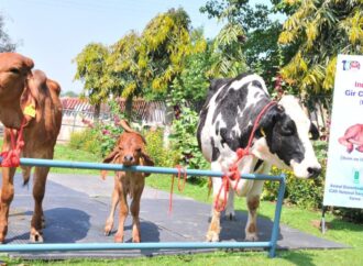 राष्ट्रीय डेयरी अनुसंधान संस्थान, करनाल में पैदा हुई भारत की प्रथम क्लोन गिर गाय की बछड़ी