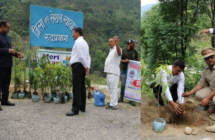 पर्यावरण संरक्षण से हमें स्वच्छ और सुरक्षित वातावरण मिलता है