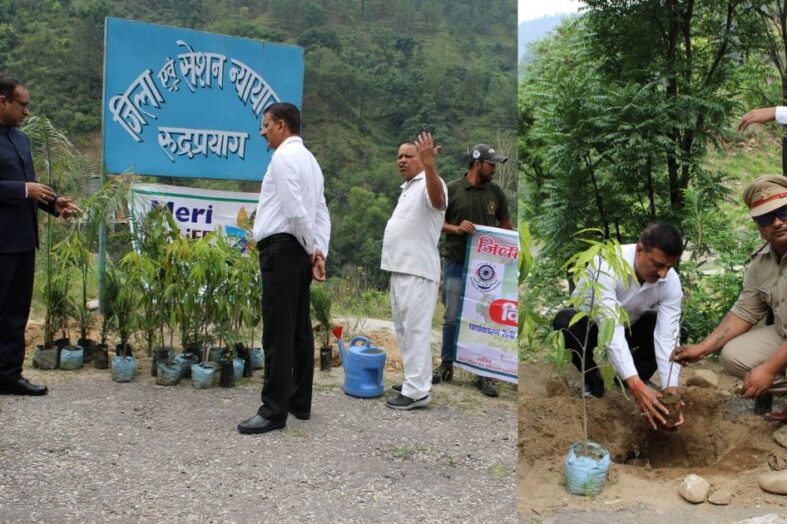 पर्यावरण संरक्षण से हमें स्वच्छ और सुरक्षित वातावरण मिलता है