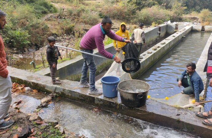 चमोली के मत्स्य पालकों को मछली बीज उत्पादन के लिए आत्मनिर्भर बना रहा मत्स्य विभाग