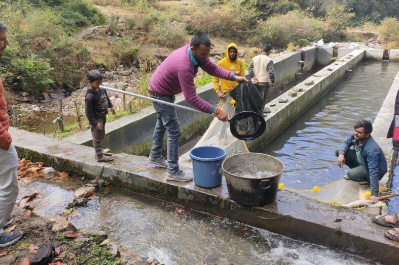 चमोली के मत्स्य पालकों को मछली बीज उत्पादन के लिए आत्मनिर्भर बना रहा मत्स्य विभाग