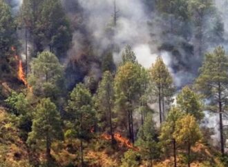 क्यों उत्तराखंड के जंगलों में बेकाबू हो जाती है आग ?