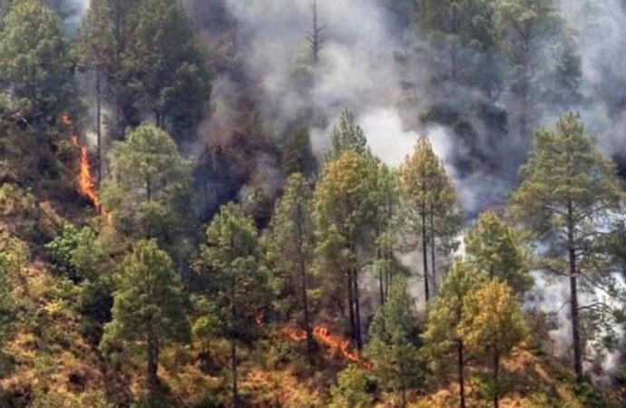 क्यों उत्तराखंड के जंगलों में बेकाबू हो जाती है आग ?