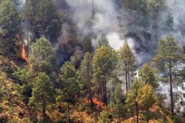 क्यों उत्तराखंड के जंगलों में बेकाबू हो जाती है आग ?