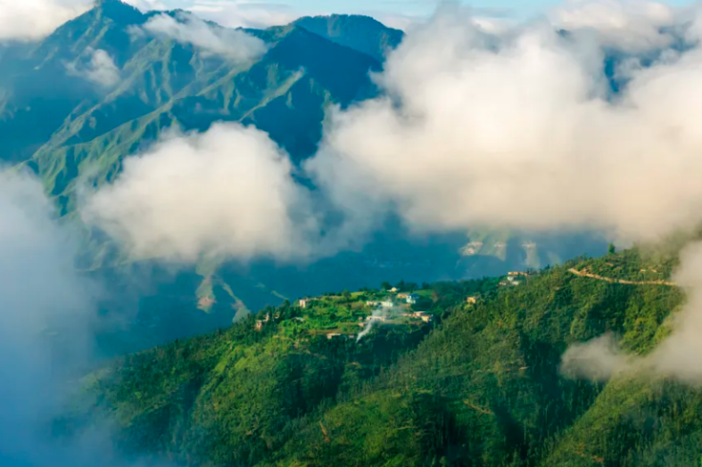 लगातार वृक्षों का दोहन और अनियोजित निर्माण का मौसम पर असर : पर्यावरणविद