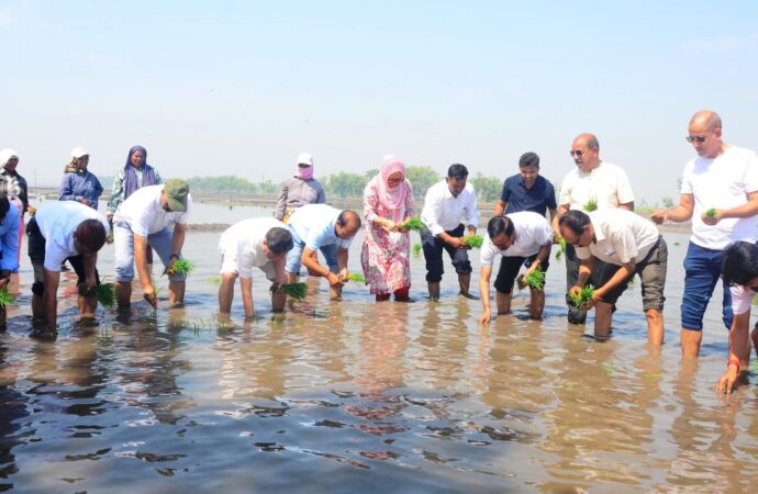 कुलपति ने बेनी फार्म में धान की पौध रोपण का किया शुभारम्भ