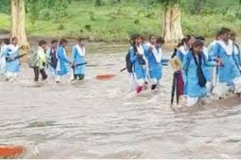 स्कूल जाने के लिए जान का जोखिम, हाथ थाम नदी पार करने को मजबूर छात्र