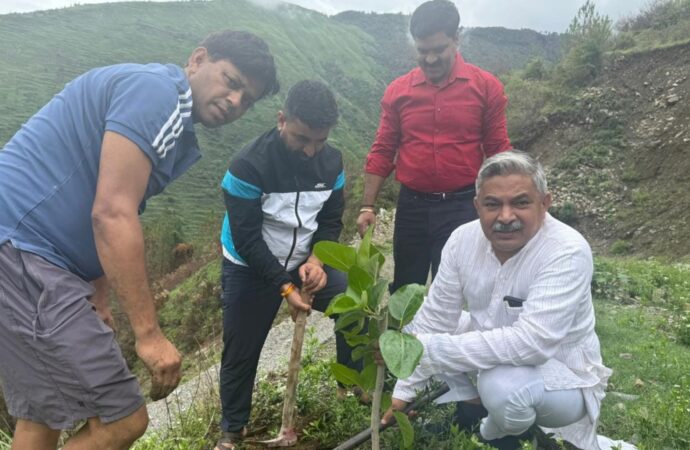 उत्तराखंड के लोकपर्व हरेला को वैश्विक बनाने में डॉ. हरीश रौतेला का महत्वपूर्ण योगदान