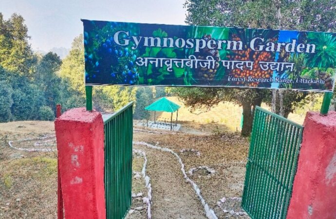 उत्तराखंड देश का पहला जिम्नोस्पर्म अनूठा है पार्क