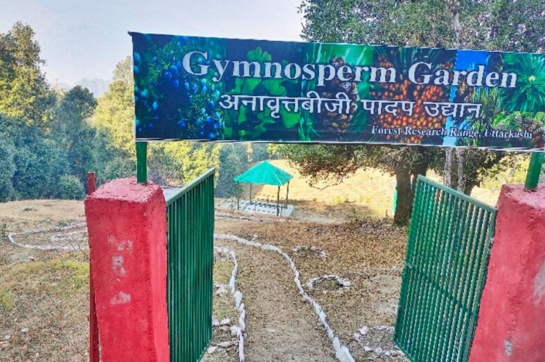 उत्तराखंड देश का पहला जिम्नोस्पर्म अनूठा है पार्क