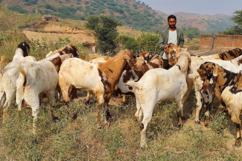 आईटीबीपी को भेड़, बकरी, कुक्कुट एवं मछली की आपूर्ति करेंगे प्रदेश के पशुपालक