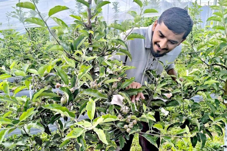 एप्पल मिशन में लगकर जगा रहे हैं स्वरोजगार की अलख