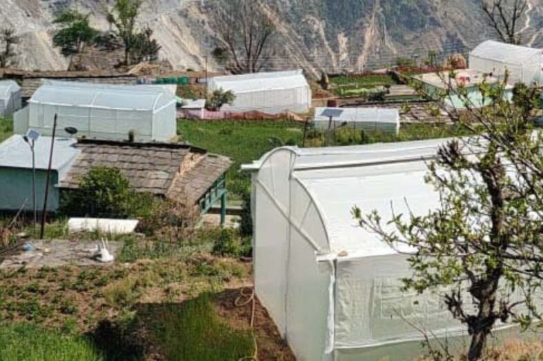 पॉलीहाउस में फूल और सब्जी का उत्पादन कर मुनाफा कमा रहे चमोली के काश्तकार