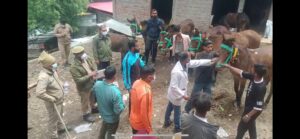 केदारनाथ यात्रा मार्ग पर घोड़े-खच्चरों पर लगी रोक अगले 24 घंटे तक रहेगी जारी