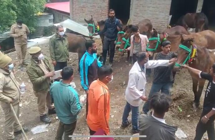 केदारनाथ यात्रा मार्ग पर घोड़े-खच्चरों पर लगी रोक अगले 24 घंटे तक रहेगी जारी