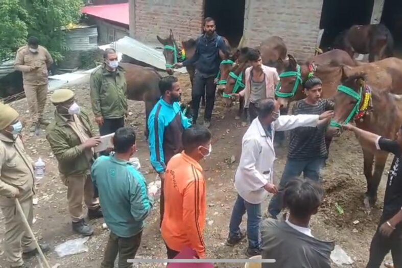 केदारनाथ यात्रा मार्ग पर घोड़े-खच्चरों पर लगी रोक अगले 24 घंटे तक रहेगी जारी
