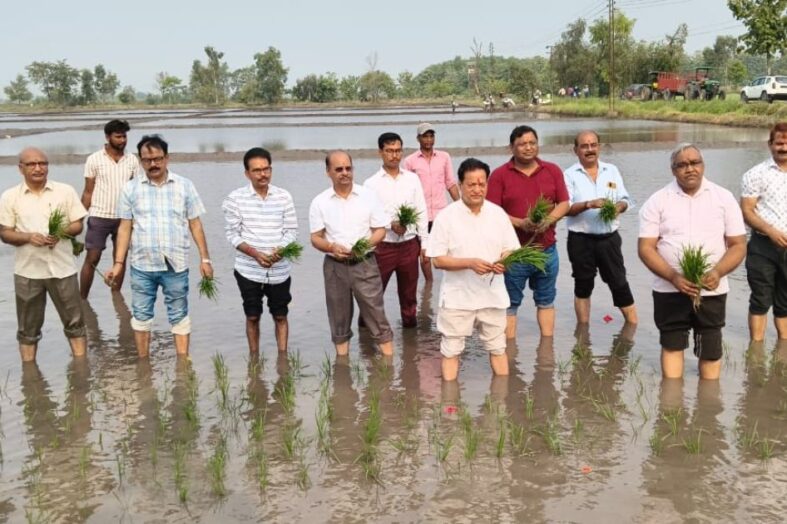 कुलपति डॉ मनमोहन सिंह चौहान ने बेनी फार्म में धान की पौध रोपण कार्यक्रम का शुभारम्भ किया