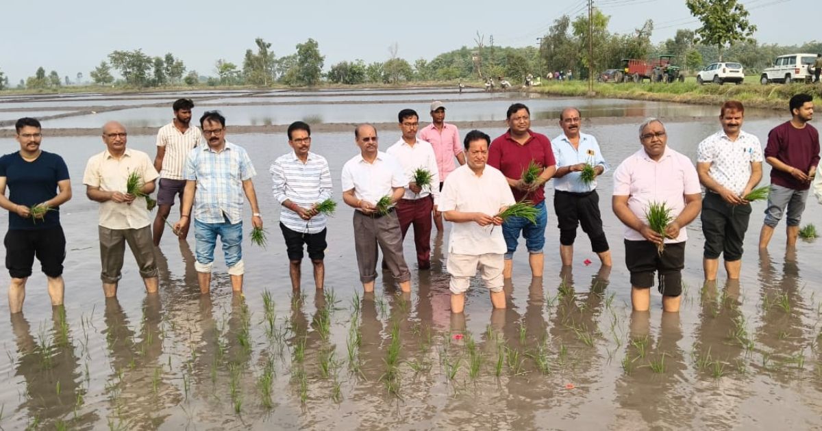 कुलपति डॉ मनमोहन सिंह चौहान ने बेनी फार्म में धान की पौध रोपण कार्यक्रम का शुभारम्भ किया