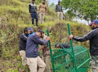गुलदार हमले के बाद वन विभाग अलर्ट मोड़ पर, ड्रोन, कैमरा ट्रैप्स और दूरबीन से गुलदार की गतिविधियों पर रखी जा रही है नजर