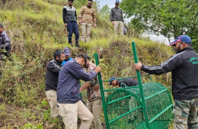 गुलदार हमले के बाद वन विभाग अलर्ट मोड़ पर, ड्रोन, कैमरा ट्रैप्स और दूरबीन से गुलदार की गतिविधियों पर रखी जा रही है नजर