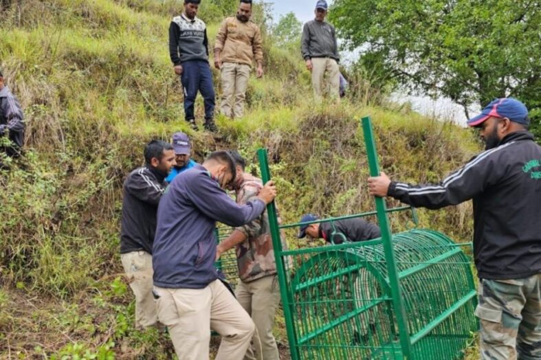 गुलदार हमले के बाद वन विभाग अलर्ट मोड़ पर, ड्रोन, कैमरा ट्रैप्स और दूरबीन से गुलदार की गतिविधियों पर रखी जा रही है नजर