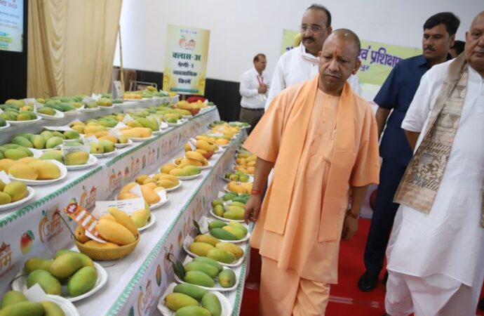 सीएम योगी ने लखनऊ में तीन दिवसीय ‘उत्तर प्रदेश आम महोत्सव- 2025’ का किया शुभारंभ
