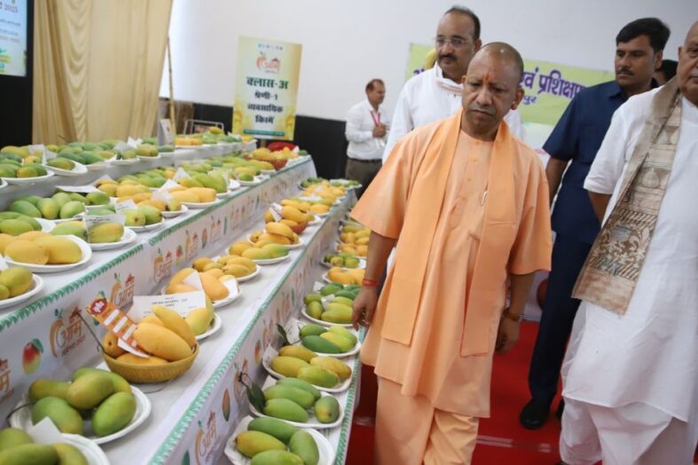 सीएम योगी ने लखनऊ में तीन दिवसीय ‘उत्तर प्रदेश आम महोत्सव- 2025’ का किया शुभारंभ