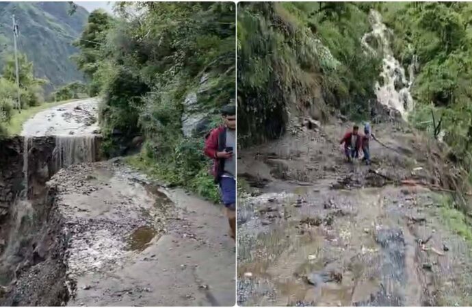 उत्तरकाशी में लगातार हो रही भारी बारिश ने बर्बाद की सेब की फसल