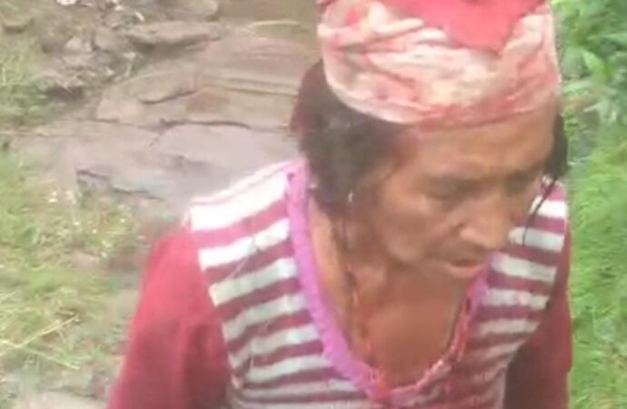 डांगी गांव में बुजुर्ग महिला पर गुलदार ने किया हमला