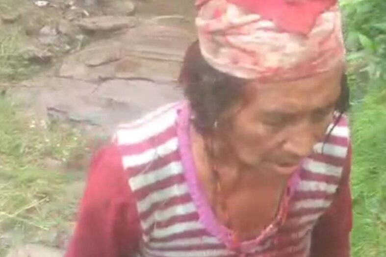 डांगी गांव में बुजुर्ग महिला पर गुलदार ने किया हमला