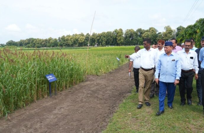 कृषि नवाचार की दिशा में पंतनगर विश्वविद्यालय की पहल : कुलपति ने फसल अनुसंधान केंद्र का किया निरीक्षण
