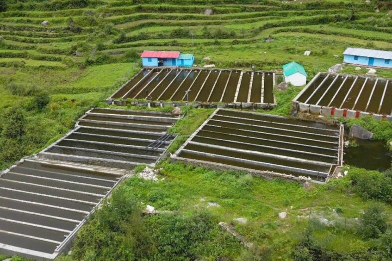 ट्राउट मछली पालन से खुशहाल हुए चमोली के काश्तकार